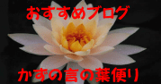 かず言の葉ブログ